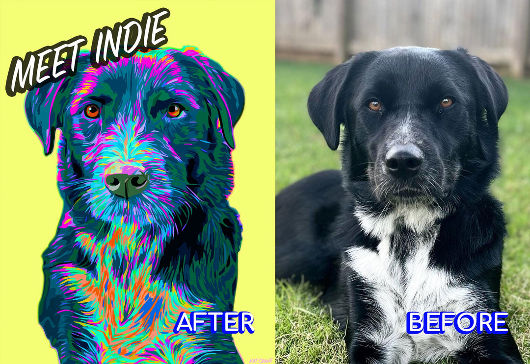 Meet Indie – The First of Four