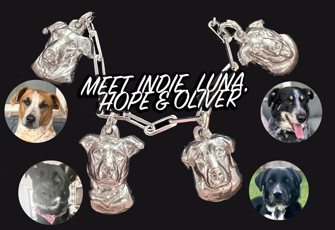 Meet Indie, Luna, Hope & Oliver - From Canvas to Charms