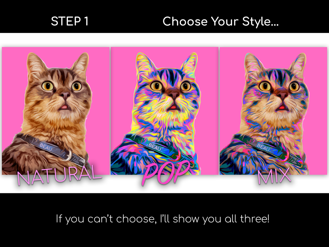 Custom POP Cat Portrait from Your Photo