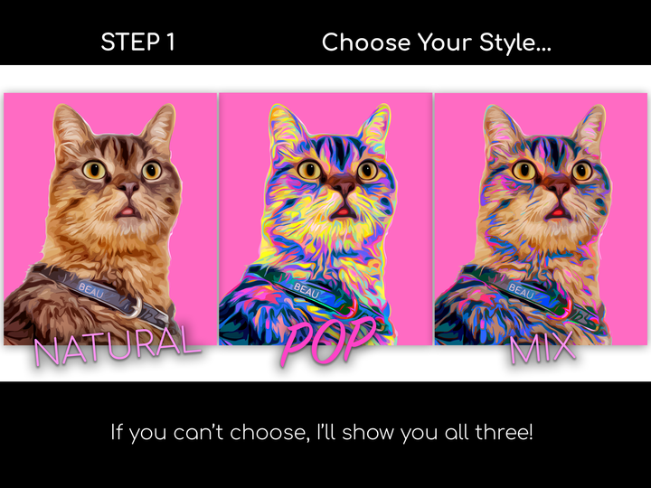 Custom POP Cat Portrait from Your Photo