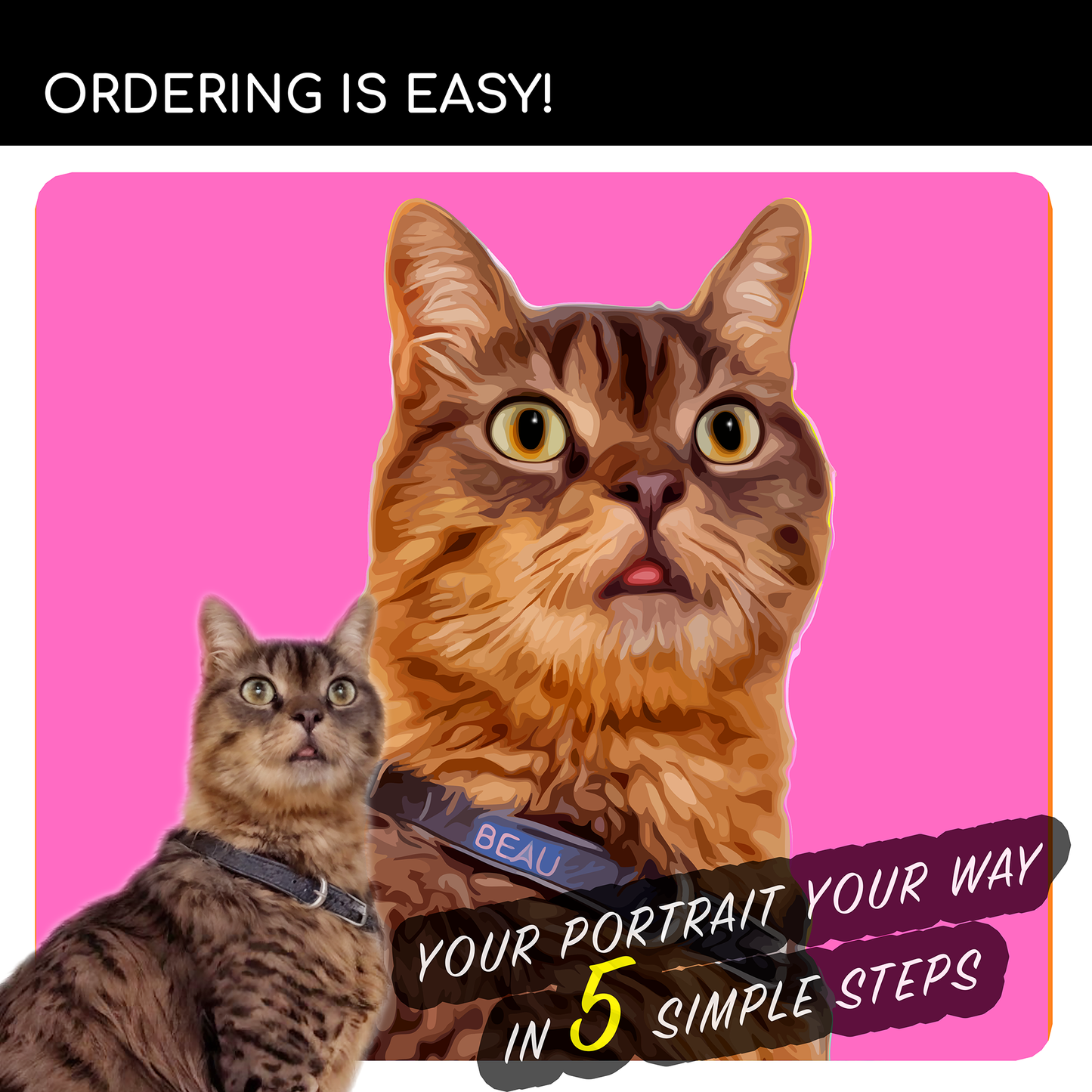 Custom NATURAL Cat Portrait from Your Photo